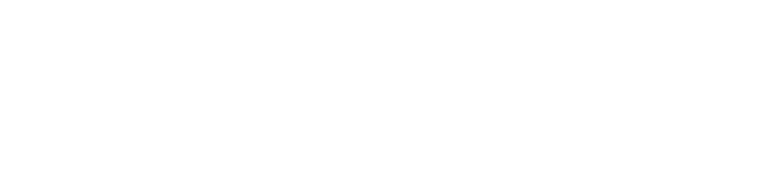 brand ambassador